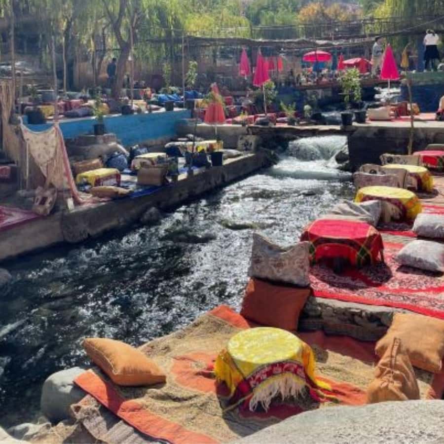 Marrakech: Ourika Valley & Waterfalls Guided Tour with Lunch - Riverside Lunch by the Ourika River: Meal Plus Mountain Calm