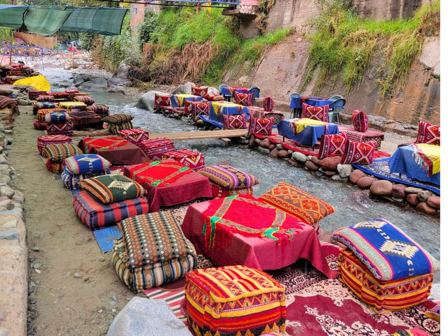Marrakech: Ourika Valley & Waterfalls Guided Tour with Lunch - Price, Value, and What Actually Costs Extra