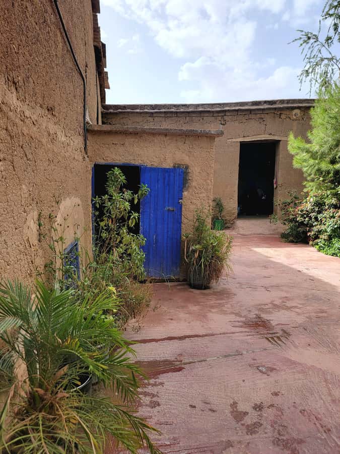 Marrakech: Ourika Valley, Waterfalls Private Trip with Lunch - Berber village time and mint tea: what you should look for