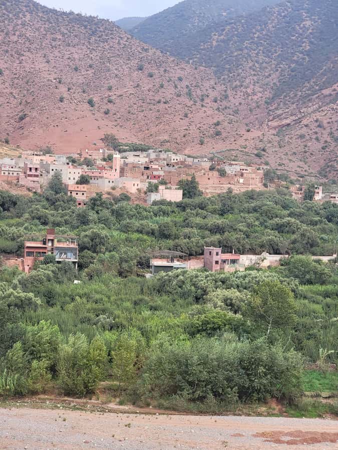 Marrakech: Ourika Valley, Waterfalls Private Trip with Lunch - Who this private Ourika Valley trip is for, and who should think twice