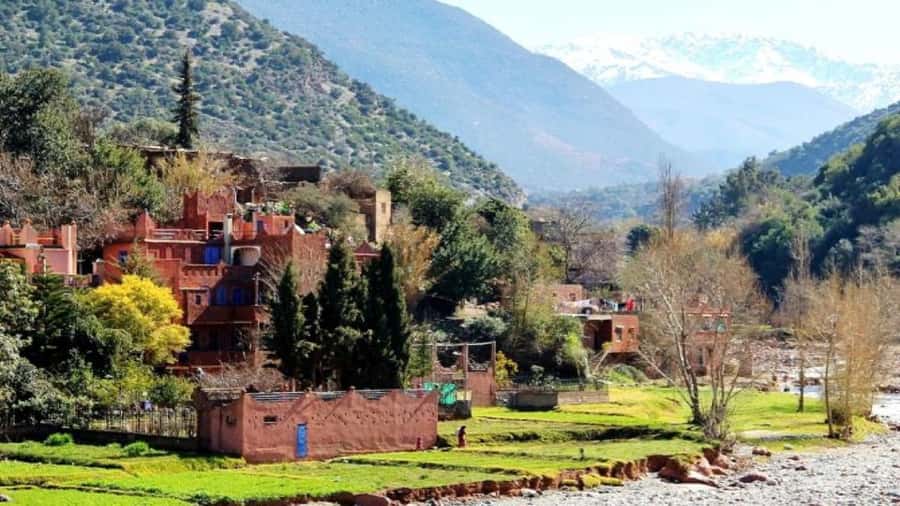 Marrakech: Ourika Valley waterfalls with guide& Berber lunch - Argan oil cooperative: how the work behind the oil becomes part of the story