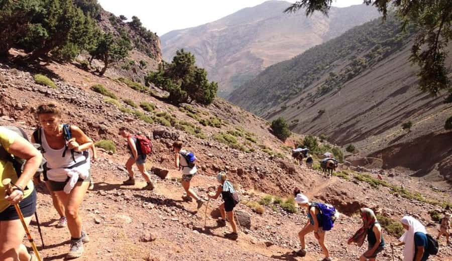 Marrakech: Ourika Valley waterfalls with guide& Berber lunch - Lunch by the river: why this meal is the smart end to the hike