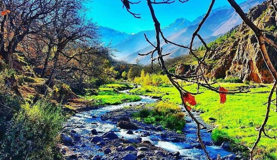 Marrakech: Ourika Valley waterfalls with guide& Berber lunch - Who this tour is best for, and who should skip it