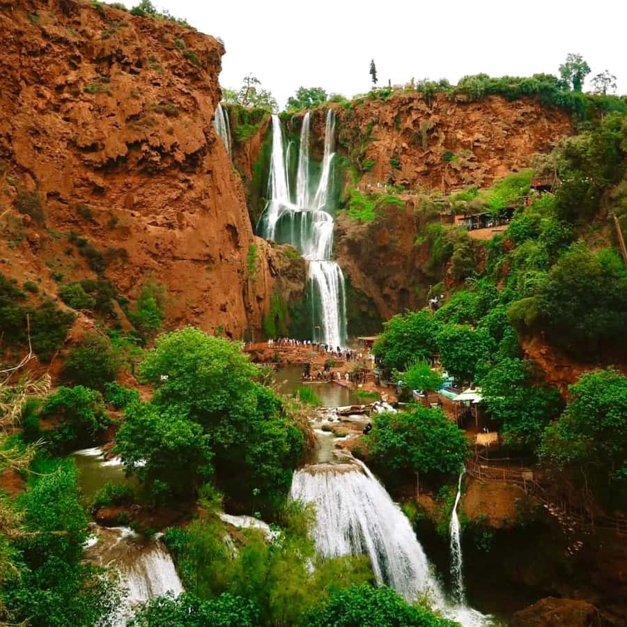 Marrakech: Ouzoud Waterfall, Guided Hike, Boat Ride & Lunch - Key highlights worth getting excited about