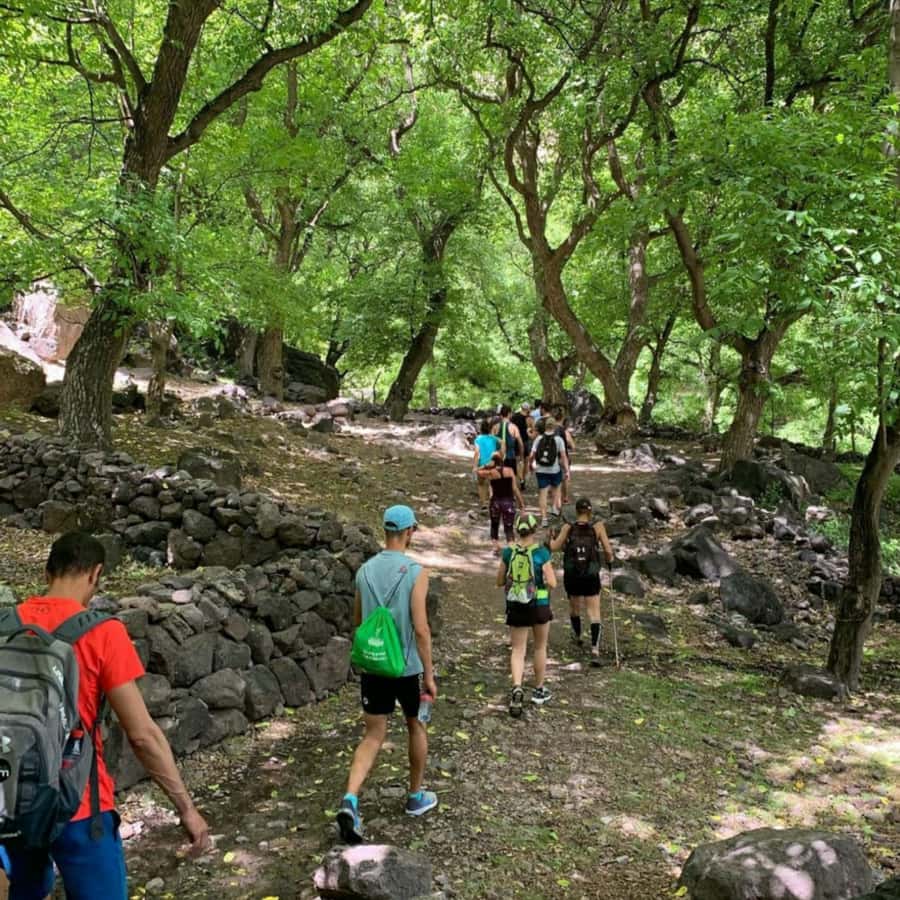 Marrakech: Ouzoud Waterfall, Guided Hike, Boat Ride & Lunch - Guided hike at Ouzoud: moderate effort, steady pacing, real monkey spotting