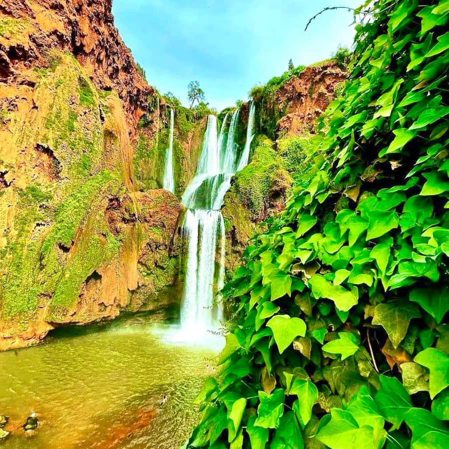 Marrakech: Ouzoud Waterfall, Guided Hike, Boat Ride & Lunch - Price and value for a $16 shared day trip