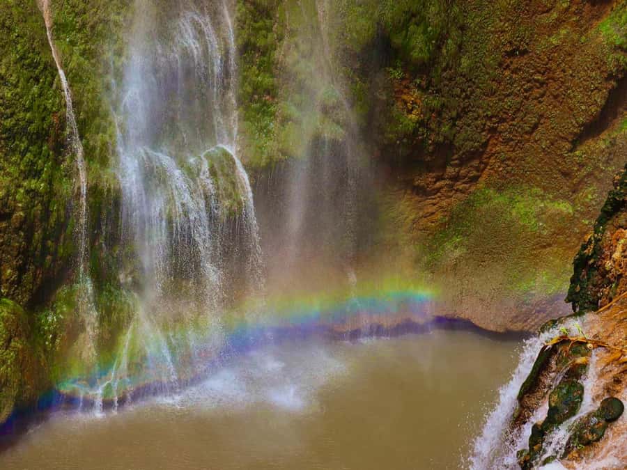Marrakech: Ouzoud Waterfalls Trip, Guided Hike & Boat Option - Walking Through Olive-Tree Passes With a Local Guide