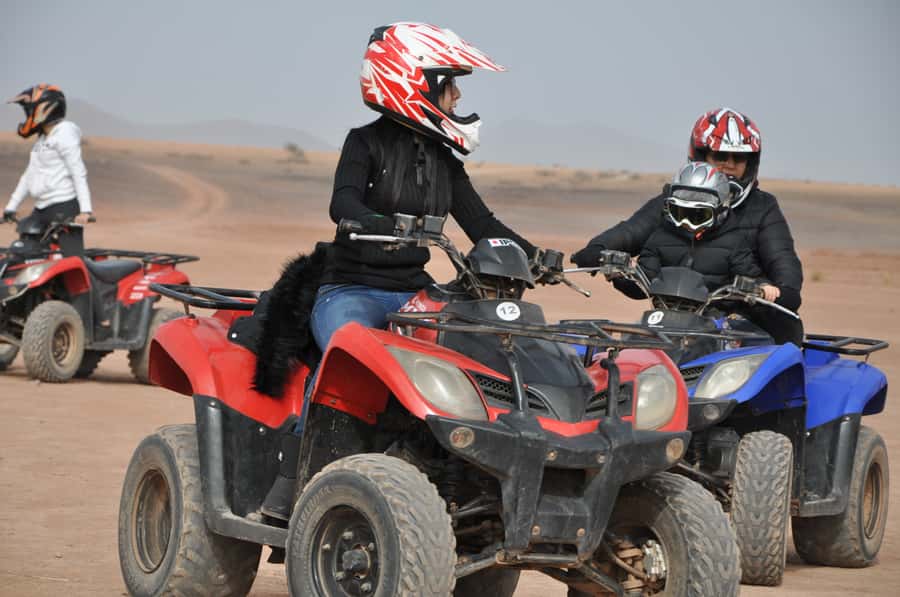 Marrakech: pack quad and camel ride in the palm grove - Palm Grove Photo Stop, Short Camel Ride, Then Back to Marrakesh