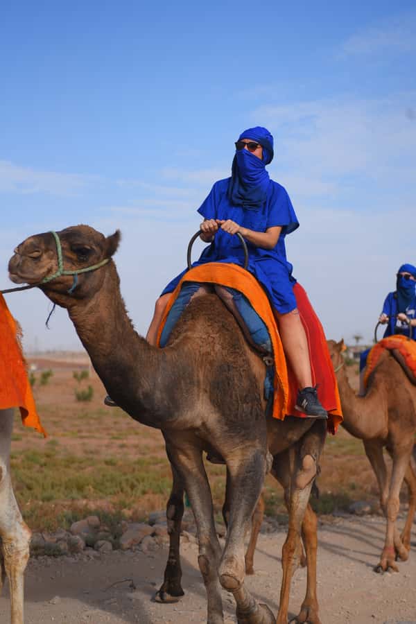 Marrakech: pack quad and camel ride in the palm grove - What to Bring So You Feel Comfortable, Not Miserable