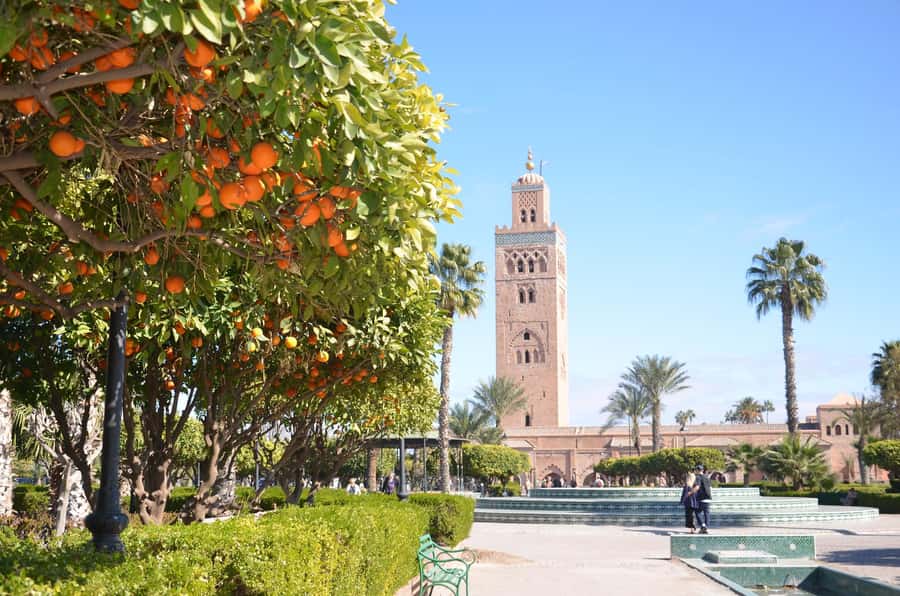 Marrakech: Palace, Museum, Madrasa & Medina Highlights Tour - The tour rhythm in real time, and why the 4 hours can feel perfect