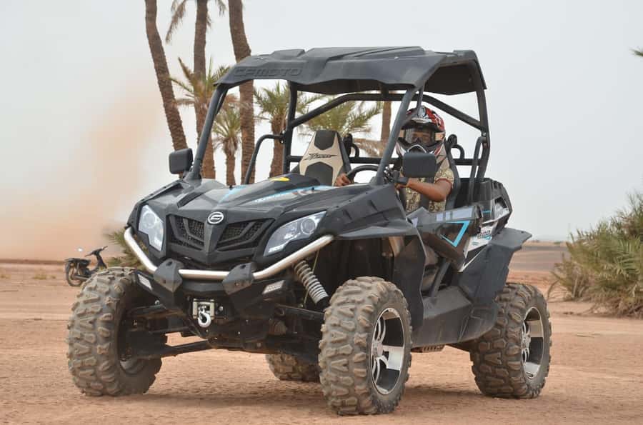 Marrakech: Palm Grove and Desert Buggy excursion - Palm Grove Power: Why This Buggy Ride Feels Different From a Typical Tour