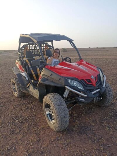 Palm Grove and Desert Buggy excursion