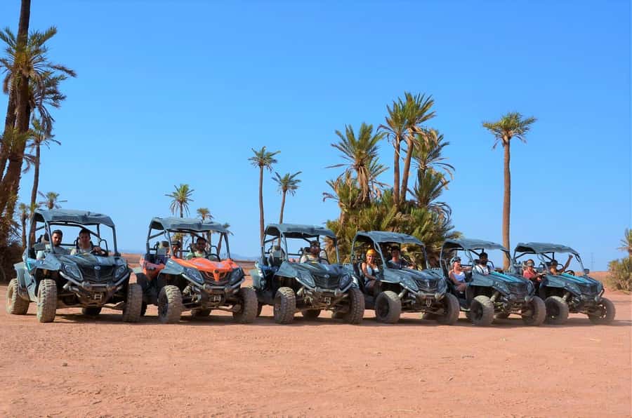 Marrakech: Palm Grove and Desert Buggy excursion - Sharing the Buggy: Passengers, Driver Swaps, and Comfort on Bumpy Ground