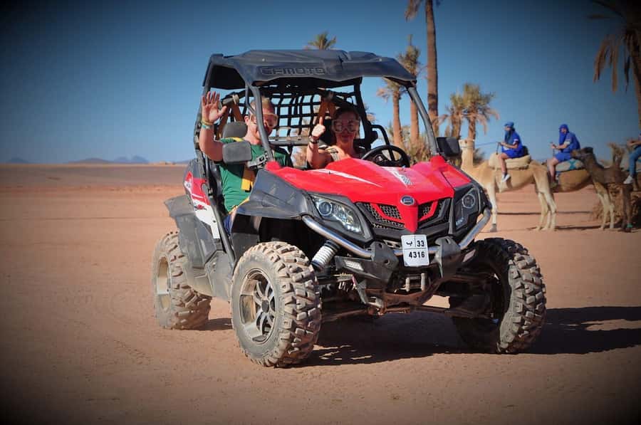 Marrakech: Palm Grove and Desert Buggy excursion - Price and Value at About $45: What You’re Actually Paying For