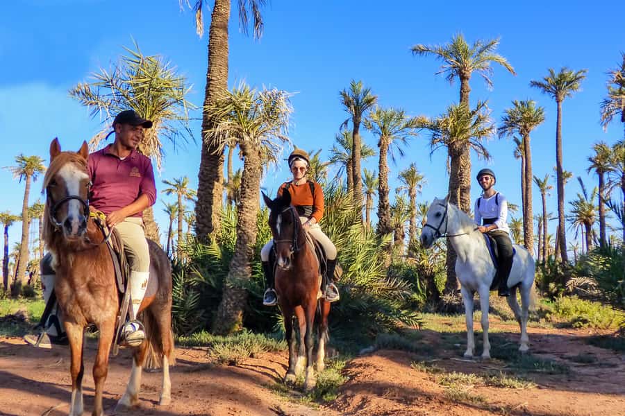 Marrakech: Palm Grove Horseback Riding Tour - Key highlights to know before you go