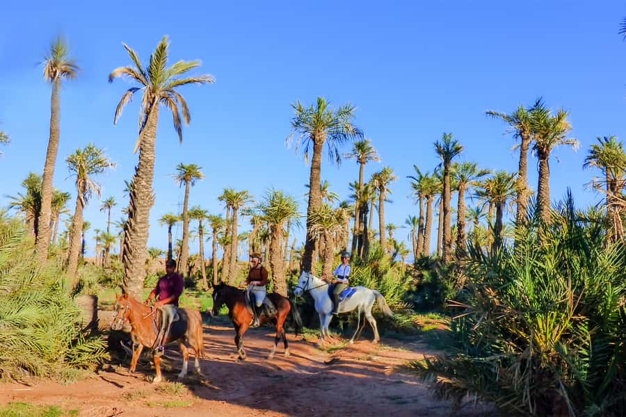 Marrakech: Palm Grove Horseback Riding Tour - At the stables: safety gear and choosing the right pace