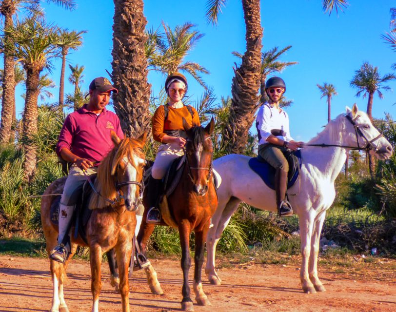 Marrakech: Palm Grove Horseback Riding Tour - Who should book this tour, and who might want a different option
