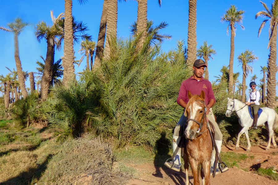 Marrakech: Palm Grove Horseback Riding Tour - Getting there fast: pickup, comfort, and how the ride starts