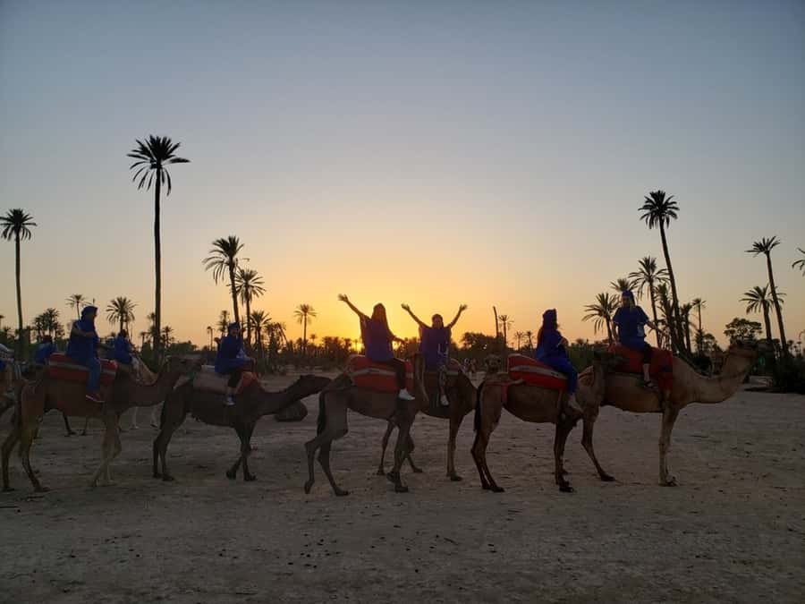 Marrakech palm grove: Sunset camel ride - The Sunset Saddle: Timing, Colors, and Photo Help