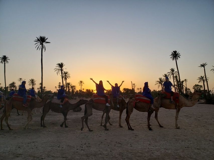 Marrakech palm grove: Sunset camel ride - Comfort, Etiquette, and Small Tips That Make a Big Difference