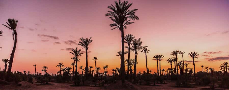 Marrakech Palmeraie: Camel Ride at Sunset - Key things I’d circle in your plan