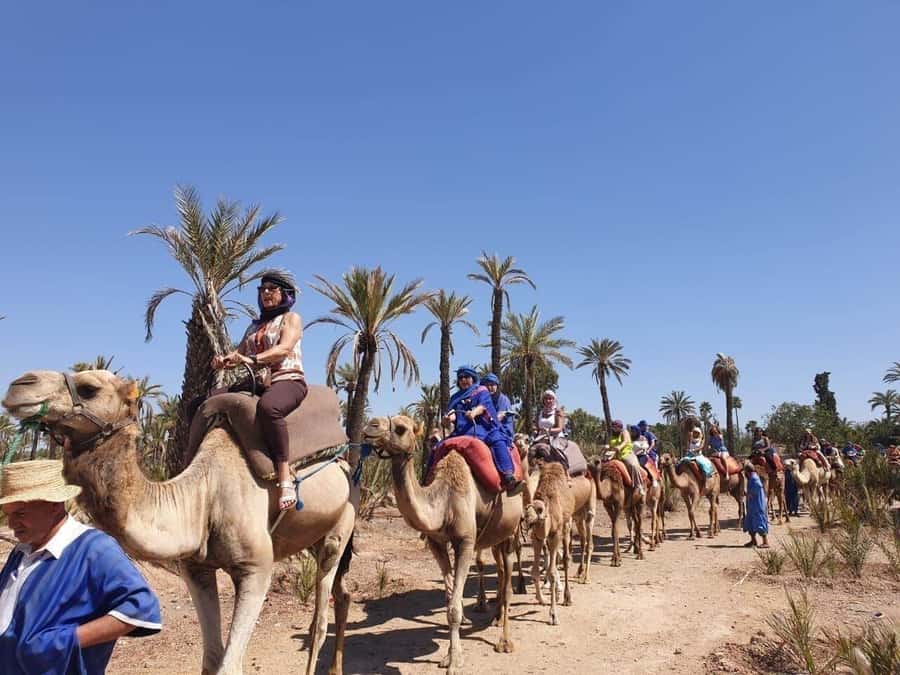 Marrakech Palmeraie: Camel Ride at Sunset - The tea, the small souvenirs, and the human side of Palmeraie