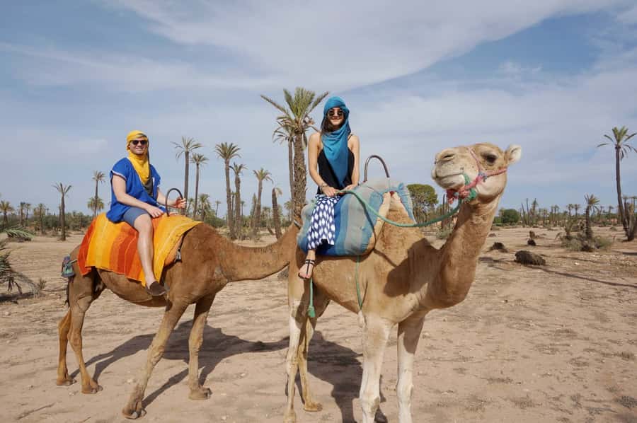 Marrakech Palmeraie: Camel Ride at Sunset - Should you book the Marrakesh Palmeraie camel ride at sunset?