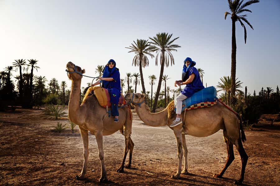 Marrakech Palmeraie: Camel Ride at Sunset - Hotel pickup, timing shifts, and getting ready for the ride