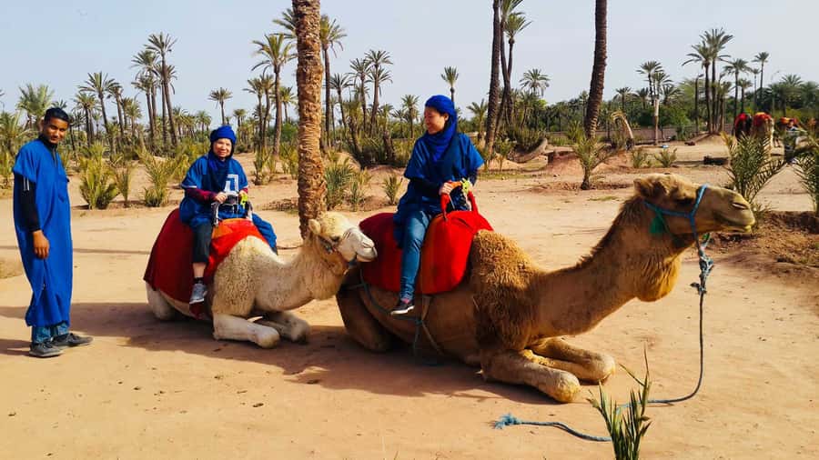 Marrakech Palmeraie: Camel Ride & Quad Bike Experience - Key things to know before you go