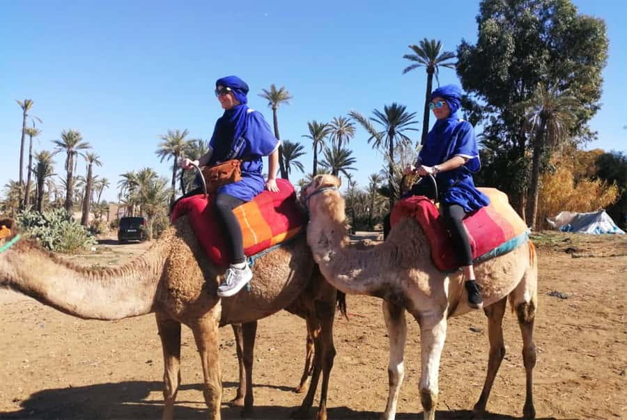 Marrakech Palmeraie: Camel Ride & Quad Bike Experience - Price and time: is this $52 good value?