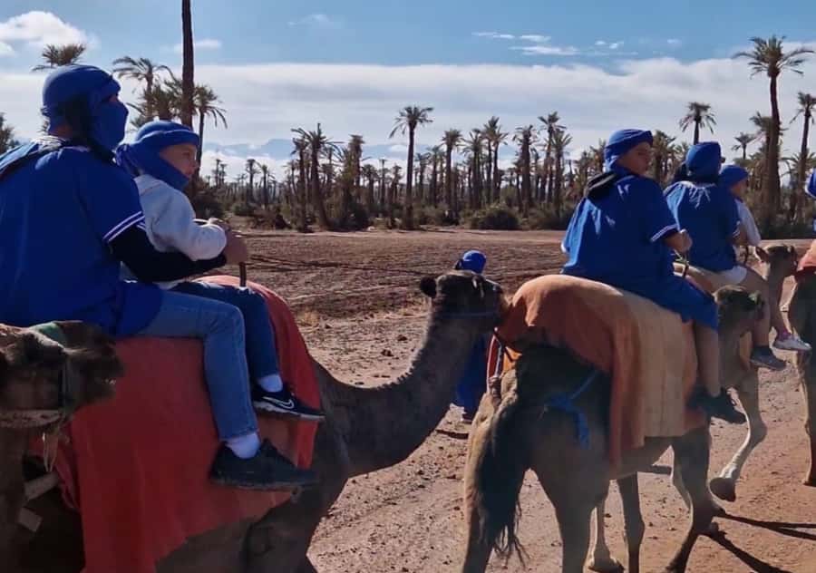 Marrakech: Palmeraie Camel Ride & Traditional Moroccan Spa - Timing, Comfort, and the Small Details That Save Your Day