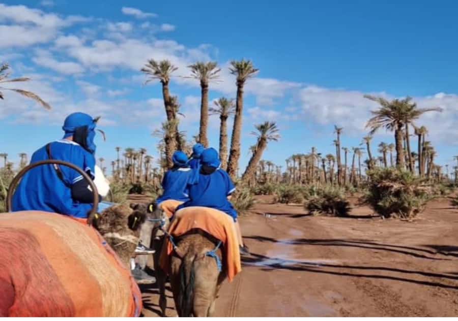 Marrakech: Palmeraie Camel Ride & Traditional Moroccan Spa - Who Should Book This (and Who Might Prefer a Different Plan)