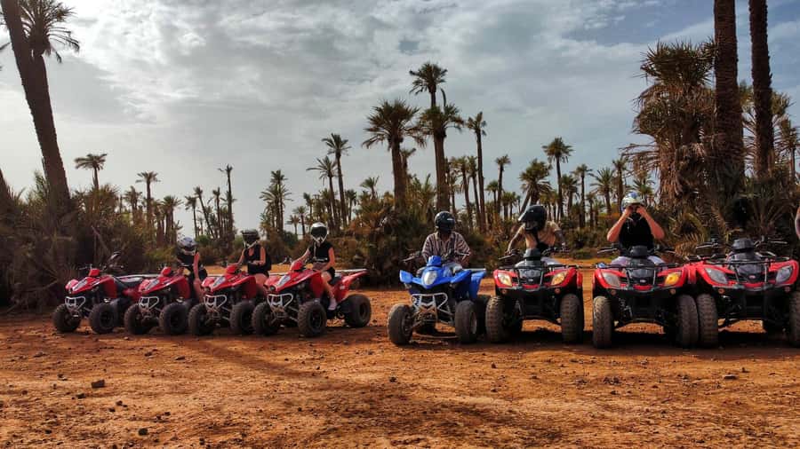Marrakech: Palmeraie Guided Quad Biking Tour with Tea - Value for $15, what you are really paying for
