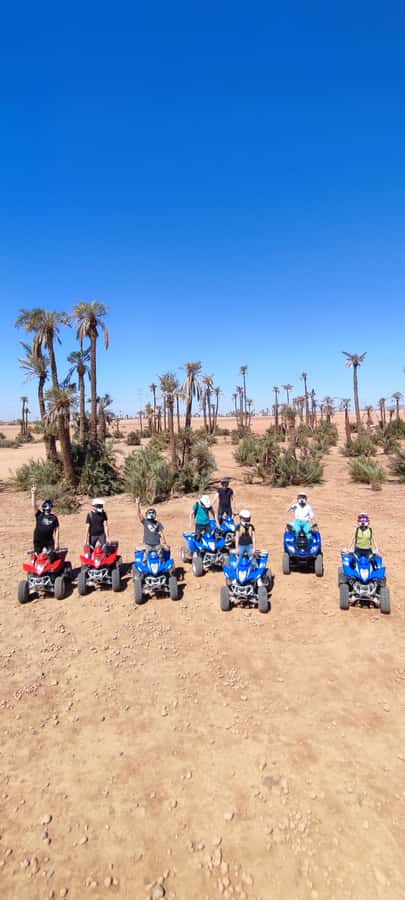 Marrakech: Palmeraie Private Quad Bike Experience - The riding route: rocky desert runs and palm grove turns