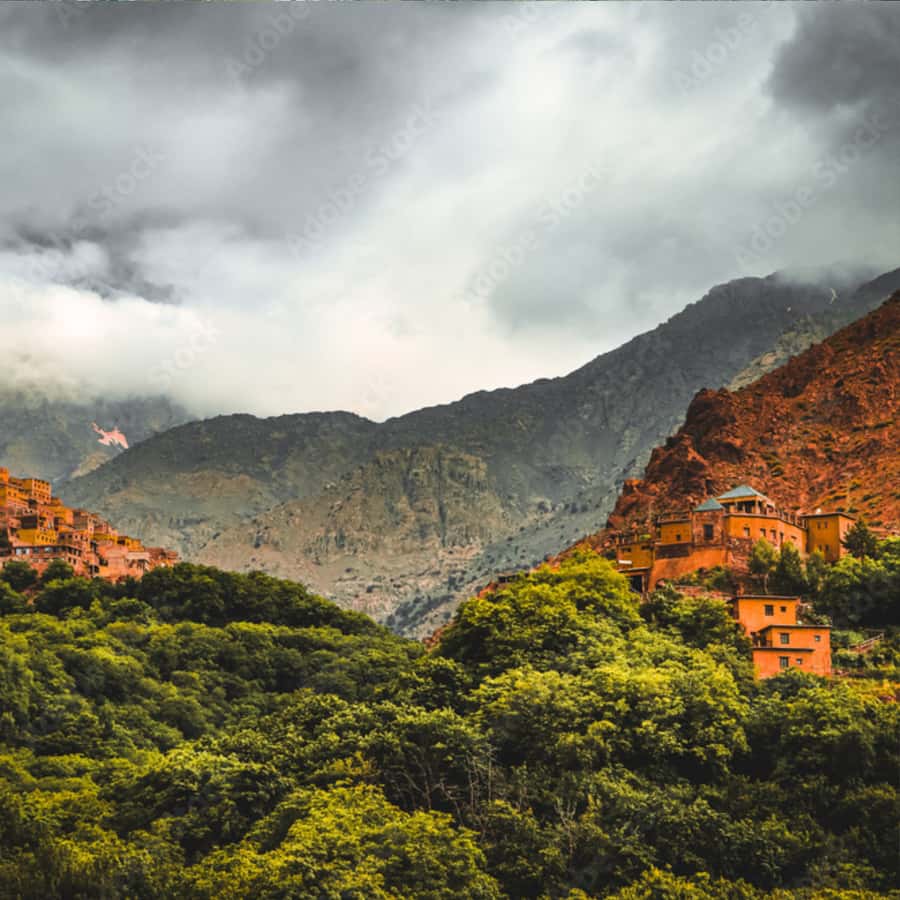 Marrakech: Paragliding, Camel Ride & Berber Villages Trip - Sky-High Paragliding Meets Berber Valleys: The Big Idea