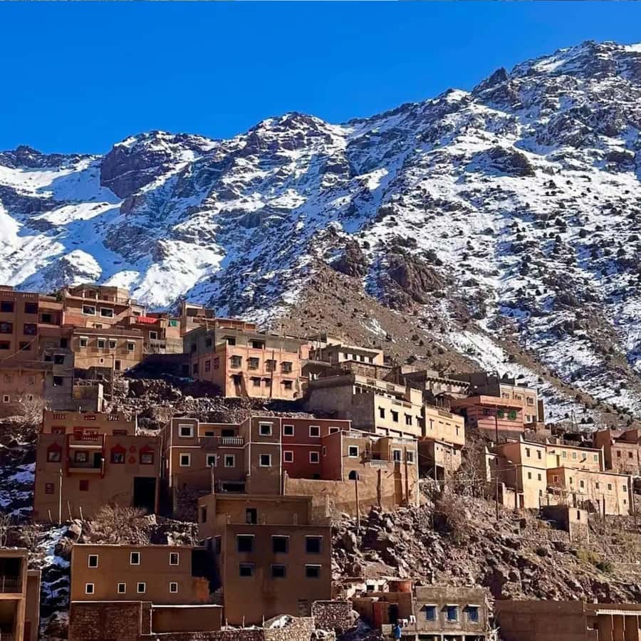 Marrakech: Paragliding, Camel Ride & Berber Villages Trip - Price and Value: Why $90 Can Make Sense Here