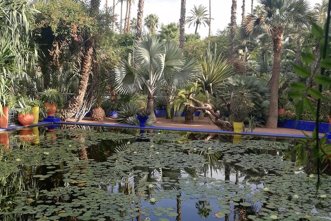 Marrakech: Private Guided Half-Day City Tour - Koutoubia Mosque and Bab Agnaou: quick stops with big visual impact