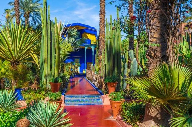 Marrakech: Private Guided Half-Day City Tour - Jardin Majorelle: the one stop where rules matter most