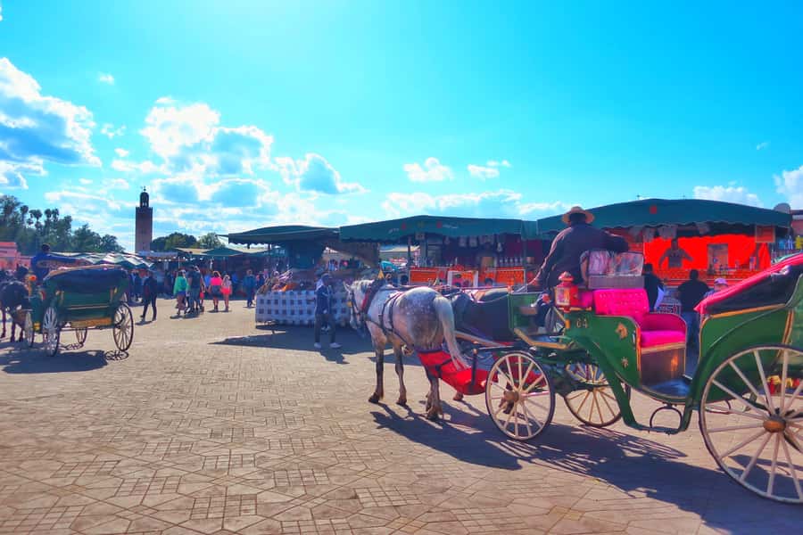 Marrakech: Private Half-Day City Highlights Tour - From Gueliz to the Medina, why this half-day mix works