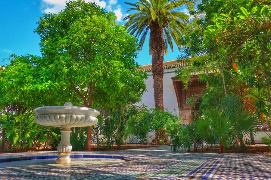 Marrakech: Private Half-Day City Highlights Tour - Your guide and driver matter more than you think