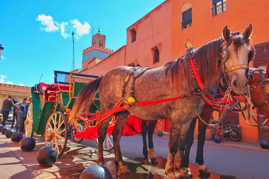 Marrakech: Private Half-Day City Highlights Tour - Pickup, A/C comfort, and how the 3.5 hours actually feel