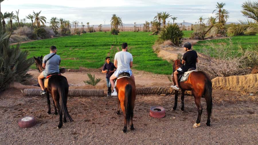 Marrakech: Private Horseback Tour in the Palm Grove with Tea - Why a Palmeraie horseback ride is a Marrakech reset