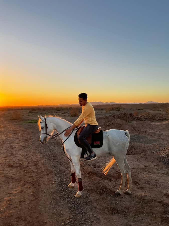 Marrakech: Private Horseback Tour in the Palm Grove with Tea - From Medina pickup to the Palmeraie stable, the ride begins early