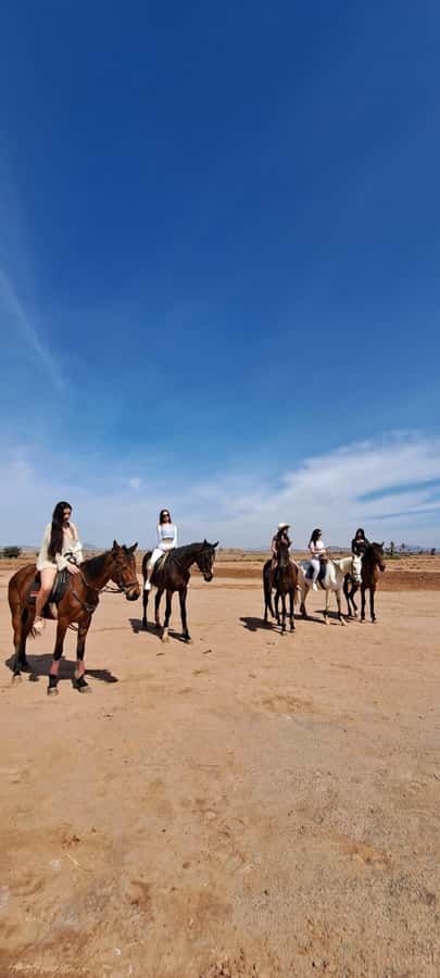 Marrakech: Private Horseback Tour in the Palm Grove with Tea - How to get the best ride: communicate early and ride honestly