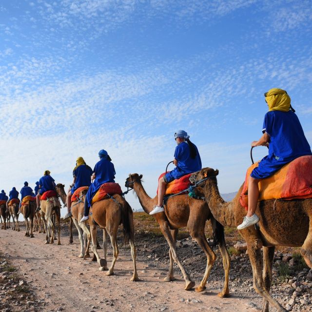 Marrakech: quad bike and Camel Ride in Marrakech - Camel Ride Through the Palmeraie, Plus the Tea Break Mood Shift