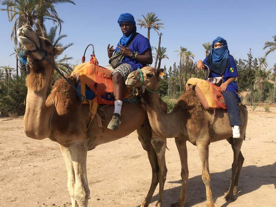 Marrakech: Quad Bike and Camel Ride Tour - Should You Book This Marrakech Quad Bike and Camel Ride?