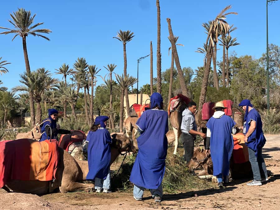 Marrakech: Quad Bike excursion at the sunset with Tea Break - Guides Matter: The Difference Between a Fun Trip and a Smooth Trip