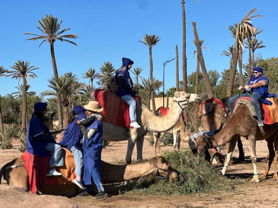 Marrakech: Quad Bike excursion at the sunset with Tea Break - Hotel Pickup, Van Ride, and What to Expect Before You Ride