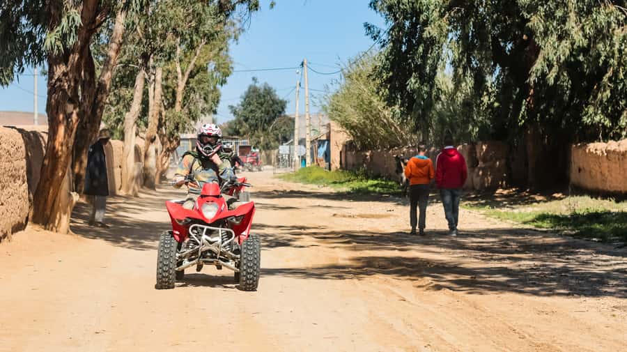 Marrakech Quad Bike Experience: Desert and Palmeraie - From Marrakech to Jbilets Desert, fast and without the hassle