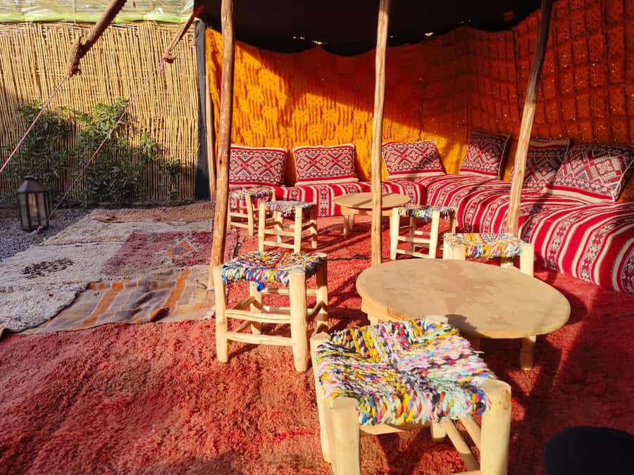 Marrakech: Quad Bike Tour to Palm Oasis and Jbilat Desert - Who This Quad Tour Fits Best (and Who Should Skip It)